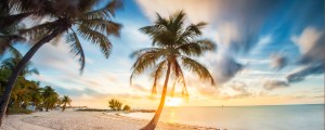 Take a Trip Through the States with Songs for Florida—America’s Songbook