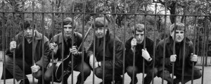 Behind the Meaning of “It’s My Life” by The Animals and Why Everyone Who’s Ever Recorded It Sings the Wrong Chorus