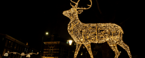 The Story Behind “Grandma Got Run Over By A Reindeer”